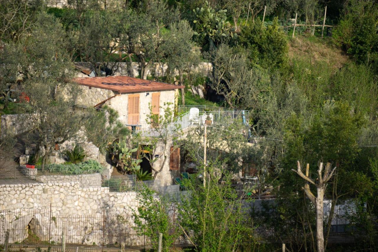 Cynara Holiday House Massa Lubrense Dış mekan fotoğraf