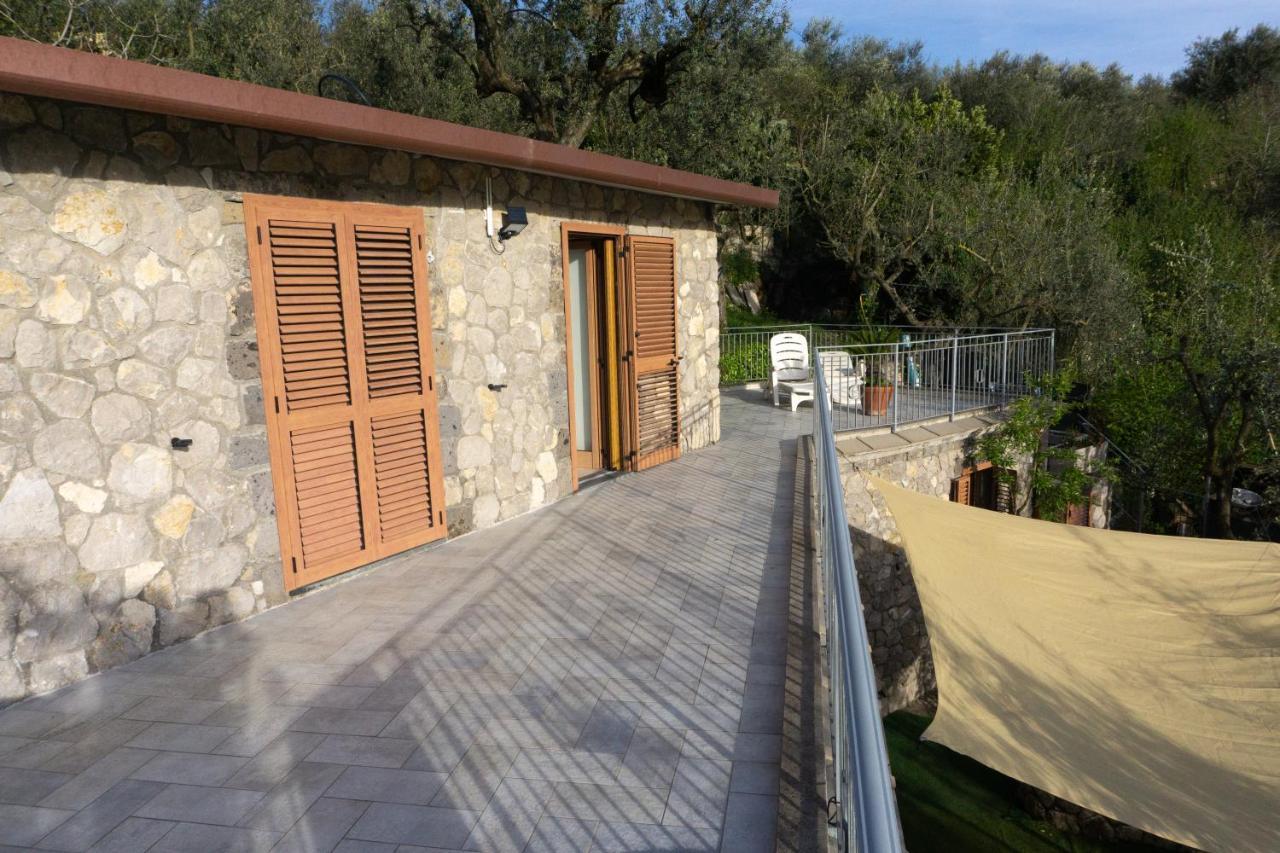 Cynara Holiday House Massa Lubrense Dış mekan fotoğraf