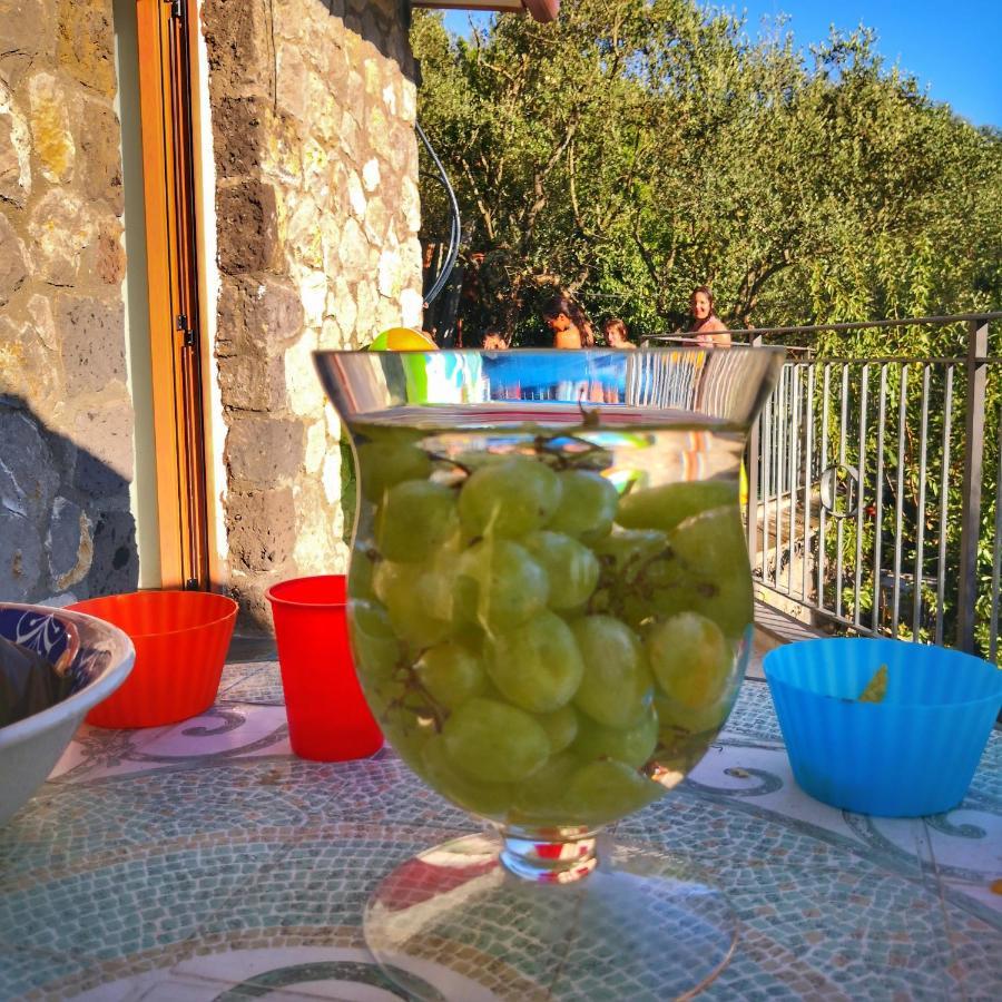 Cynara Holiday House Massa Lubrense Dış mekan fotoğraf