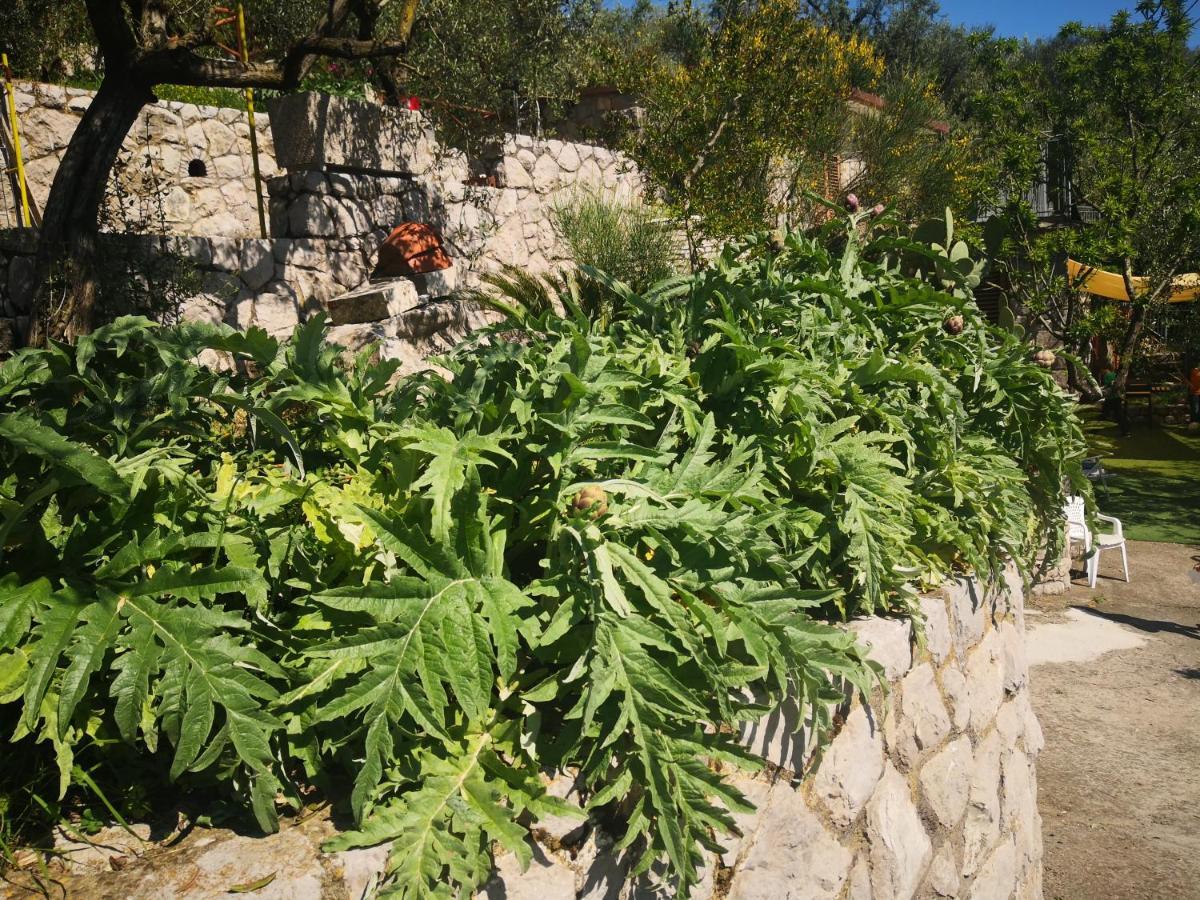 Cynara Holiday House Massa Lubrense Dış mekan fotoğraf